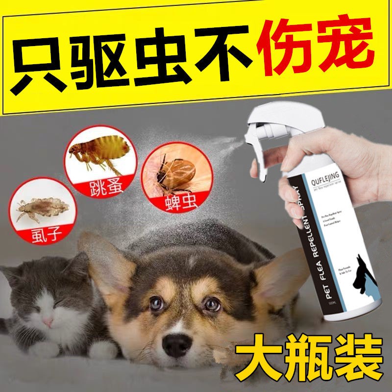 Image showcasing How to Kill Fleas on Cats: 7 Proven Methods That Actually Work