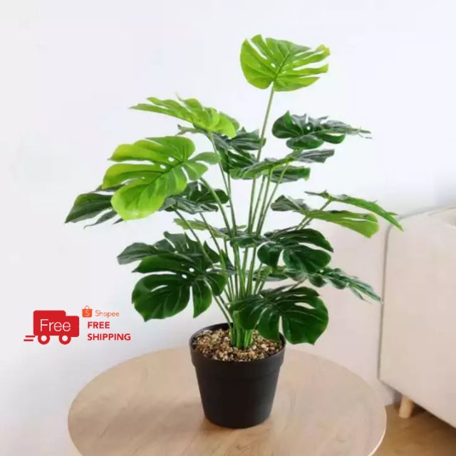 Ala IKEA Artificial Monstera Potted Plant 70cm Shopee Malaysia