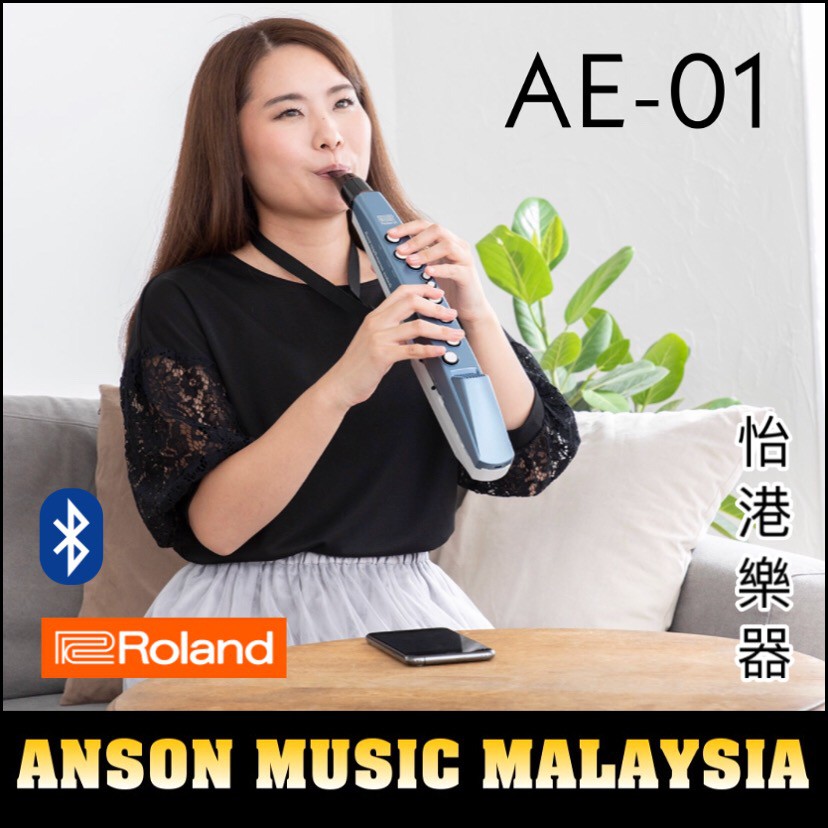 Roland AE-01 Aerophone mini Digital Wind Instrument (AE01) | Shopee ...