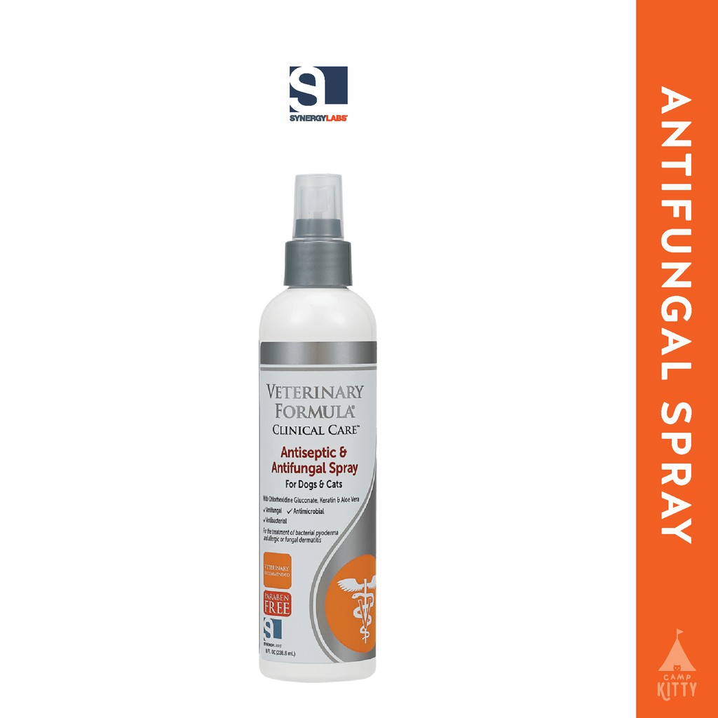 Best antifungal store spray for dogs