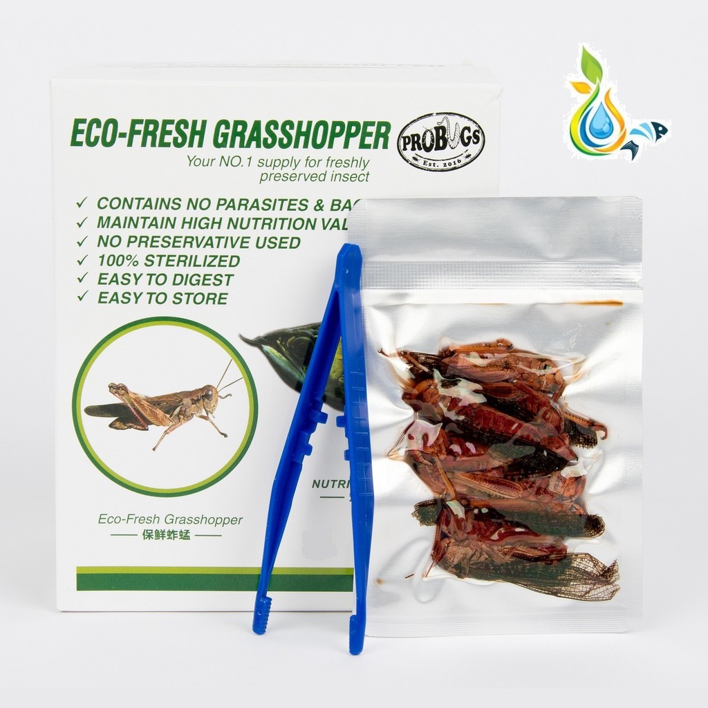 PROBUGS Eco-Fresh Grasshopper 5pcs | Shopee Malaysia