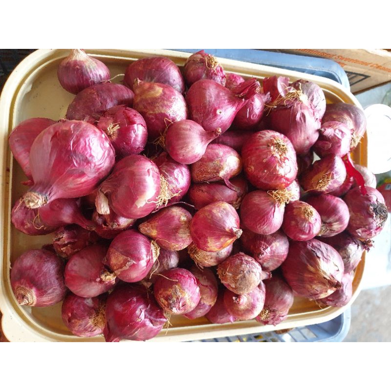 Bawang Kecil INDIA 500g±/1kg± | Shopee Malaysia