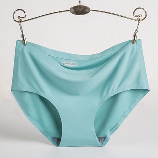 Seamless Panty for Women Panties with Zipper Pocket Underwear