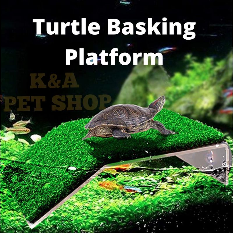 Turtle Basking Platform Tortoise Ramp Reptile Tank Ladder Resting ...
