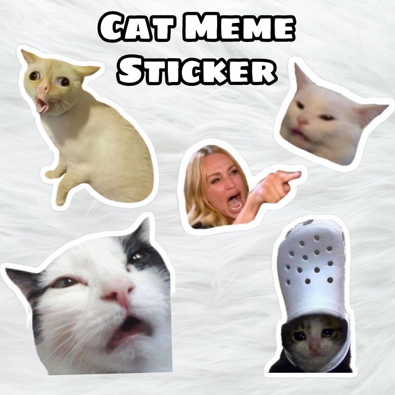 Funny Cat meme sticker for journal (Laminated) Shopee Malaysia