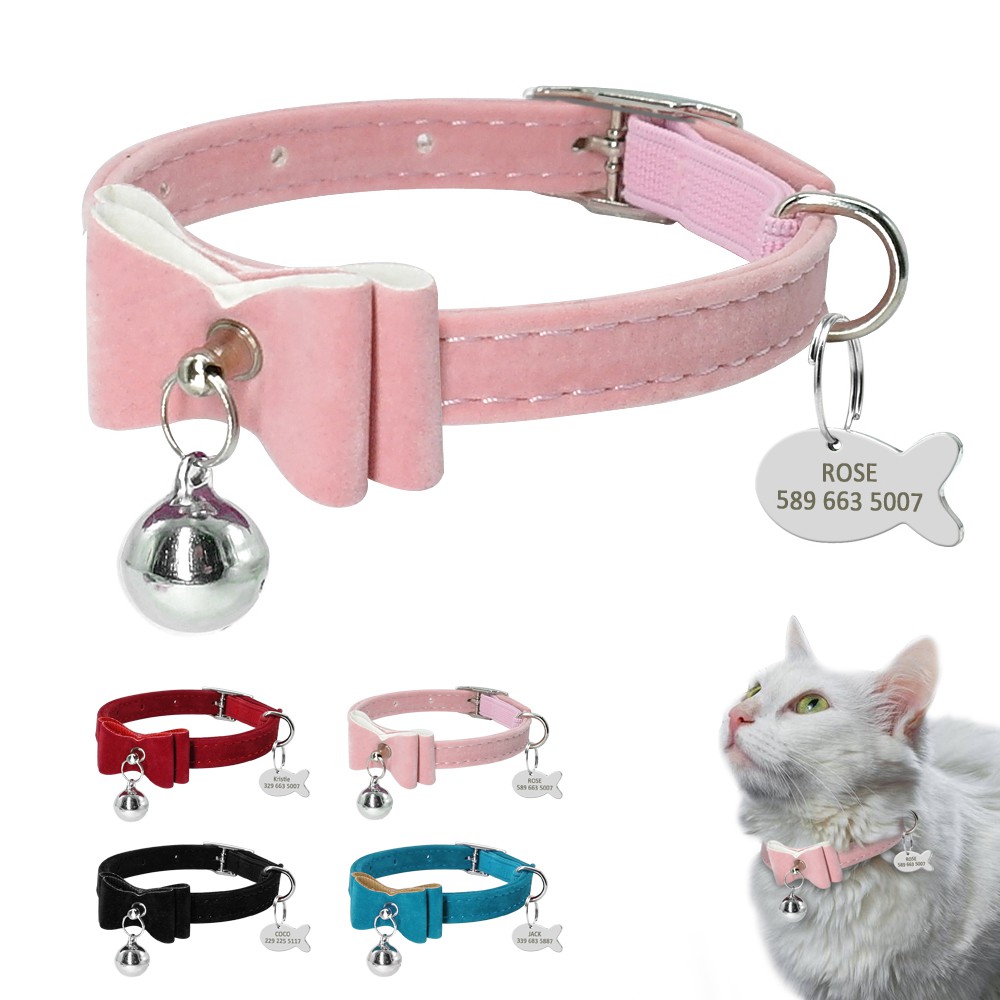 Cat collars best sale and tags