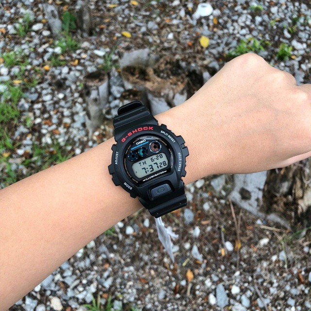 Dw6900 1vdr 2025