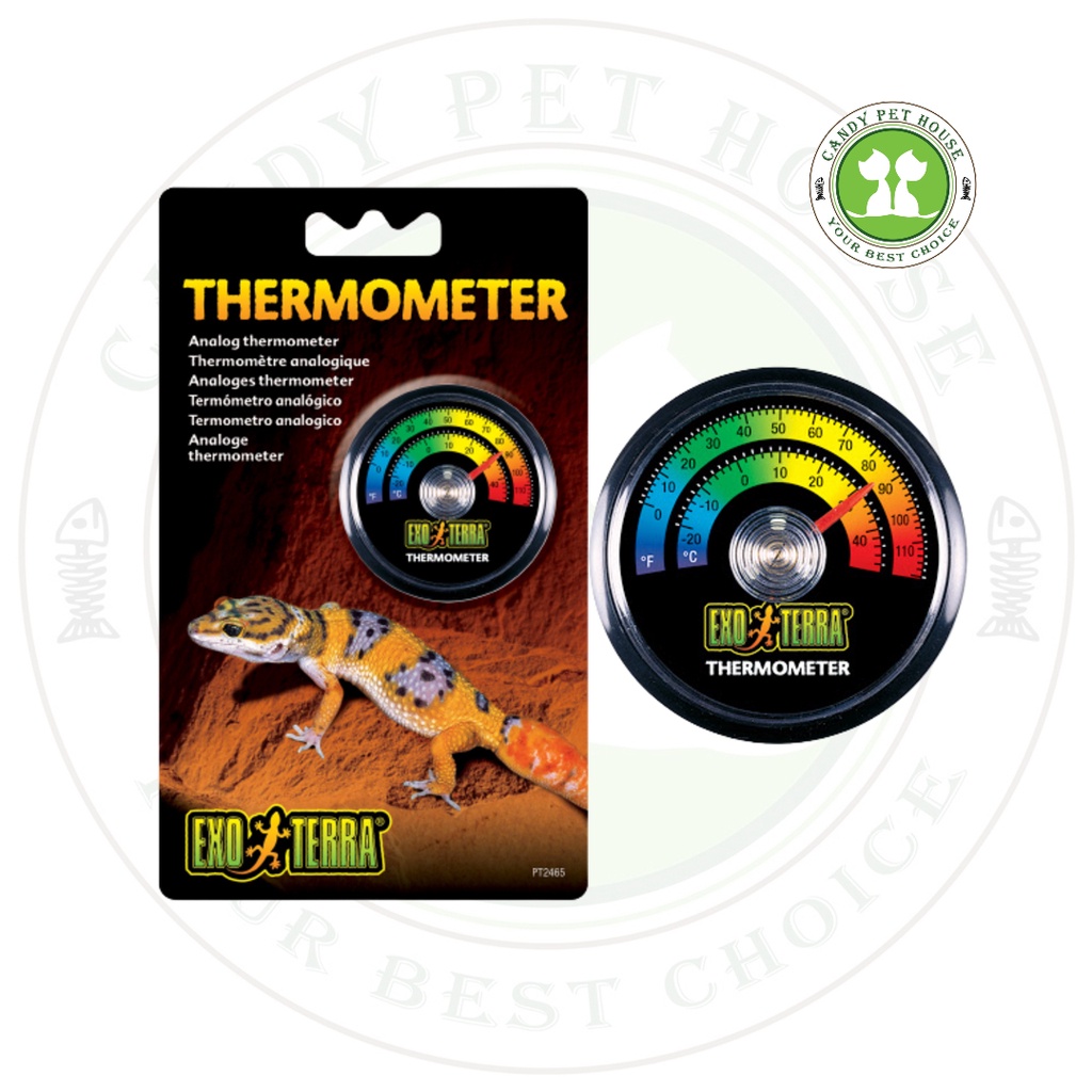 Reptile Terrarium Temperature Monitoring
