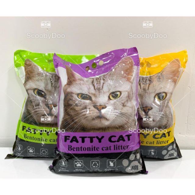 Fatty 2024 cat litter