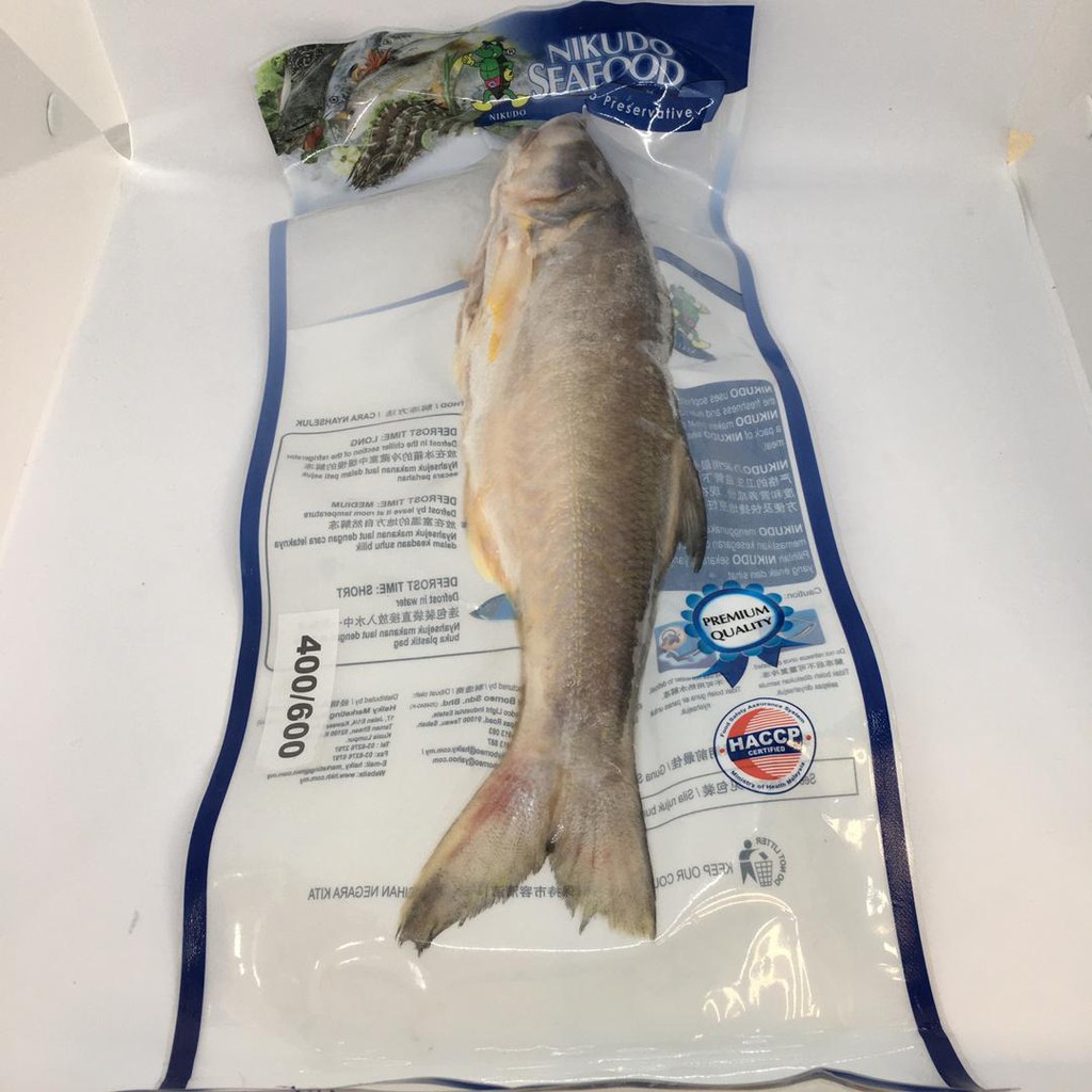 Nikudo FOUR FINGER THREADFIN WHOLE CLEAN (SENANGIN) 400/600 GM/PC 马友鱼 ...