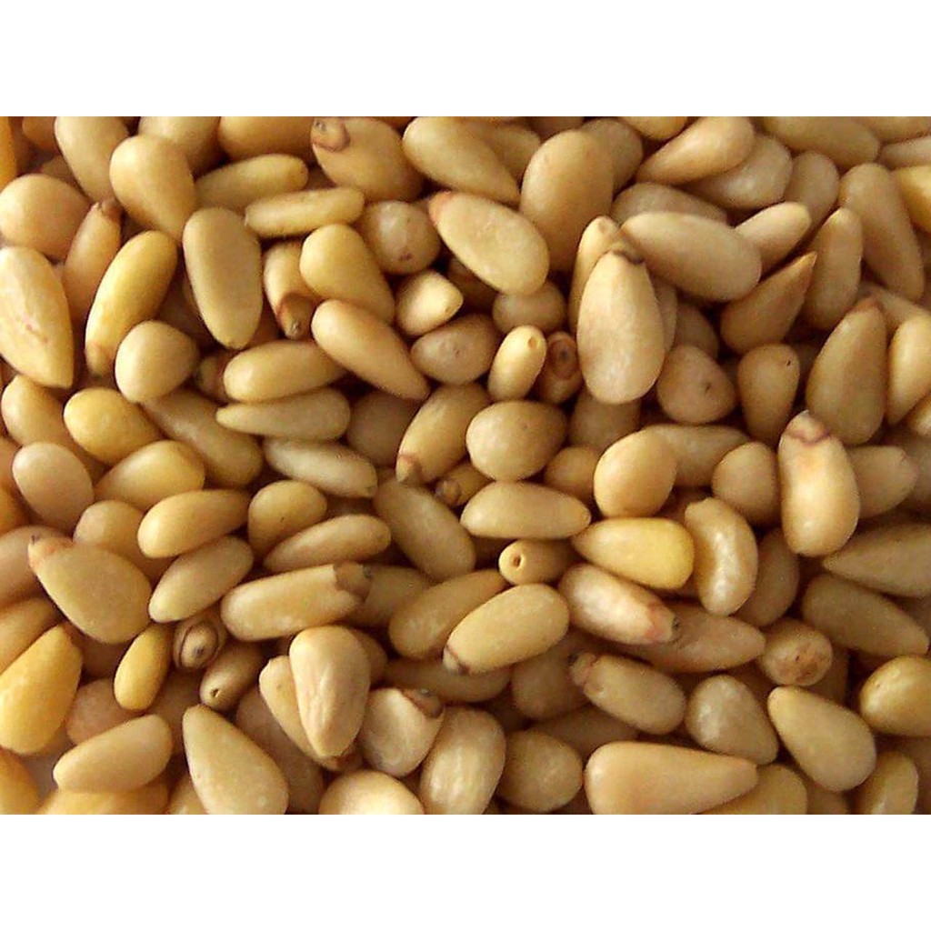 Raw Pine Nuts (Repacked) [Kacang Pain] | Shopee Malaysia