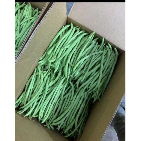 KACANG BUNCIS/FRENCH BEANS (+/-600g) | Shopee Malaysia