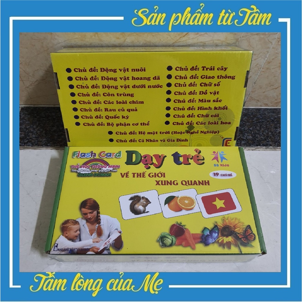 Smart Learning Card Set with 19 Large Topics Bilingual English Standard ...