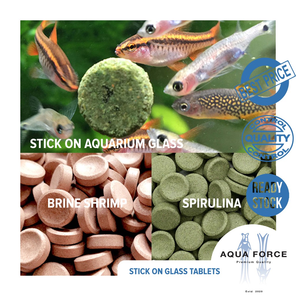 BRINE SHIRMP / SPIRULINA PALLET TABLET / can stick on aquarium glass
