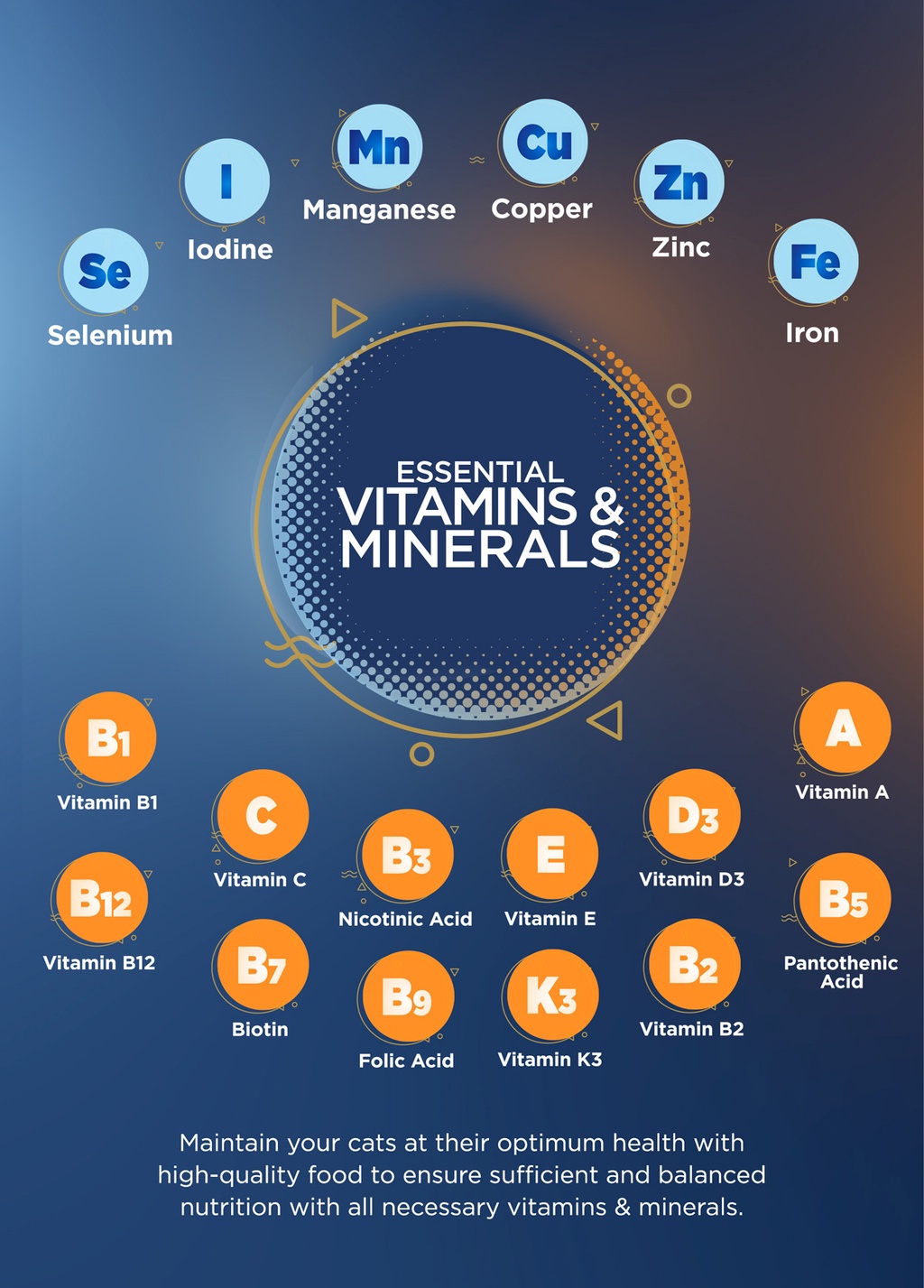 Curated visual reference: Near Expiry All Life Stages 2Kg 40 Premium Animal Protein Photo Inspiration