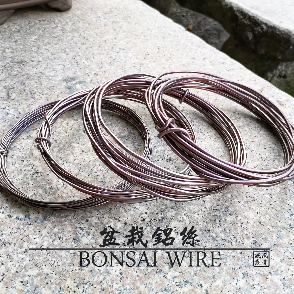 Bronze Color Aluminium Wire for Bonsai Dawai Bonsai Shopee Malaysia