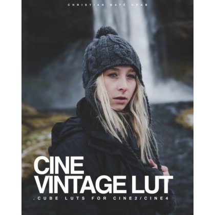 CINE VINTAGE LUT CMG download Shopee Malaysia