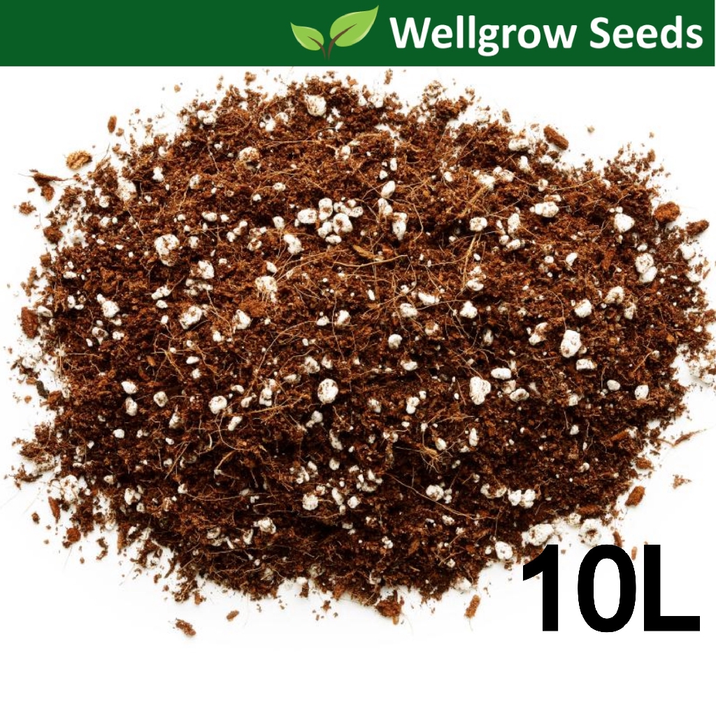 Coco Mix 10L (Coco Peat + Perlite) / All purpose organic potting mix