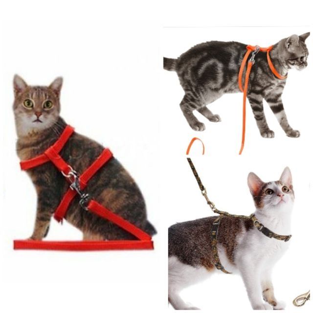 Cat Strap Harness / Tali Kucing | Shopee Malaysia