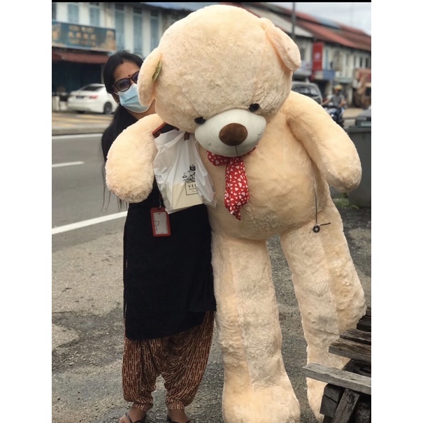 teddy bear paling besar