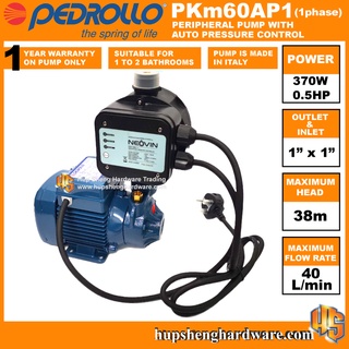 Pedrollo PK60 Peripheral Electric Water Pump Malaysia