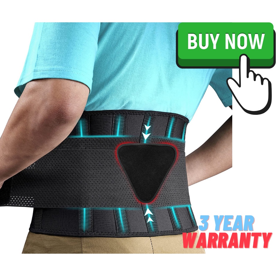 Lumbar Support Waist Belt Health Therapy Breathable Back Spine Support  Corset for Disc Herniation Pain Relief Men Women Unisex Black L