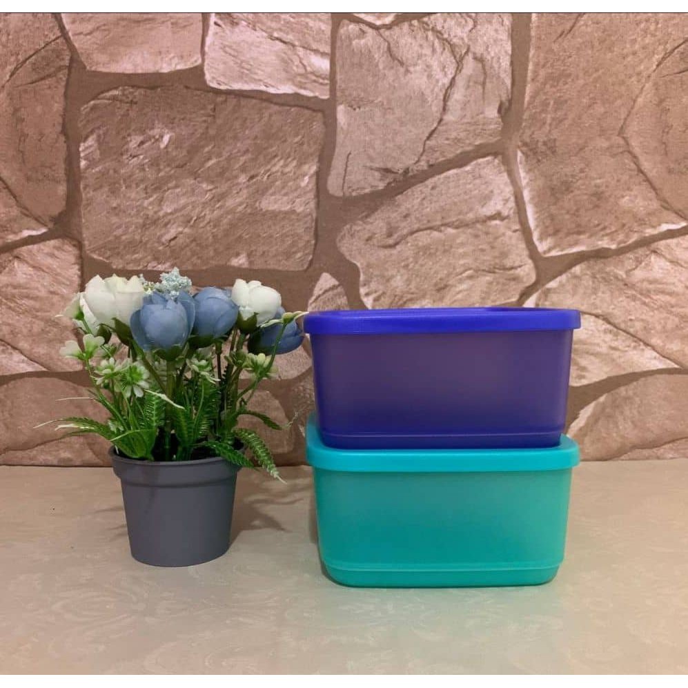 TUPPERWARE READY STOCK So Fresh Small 650ml | Shopee Malaysia