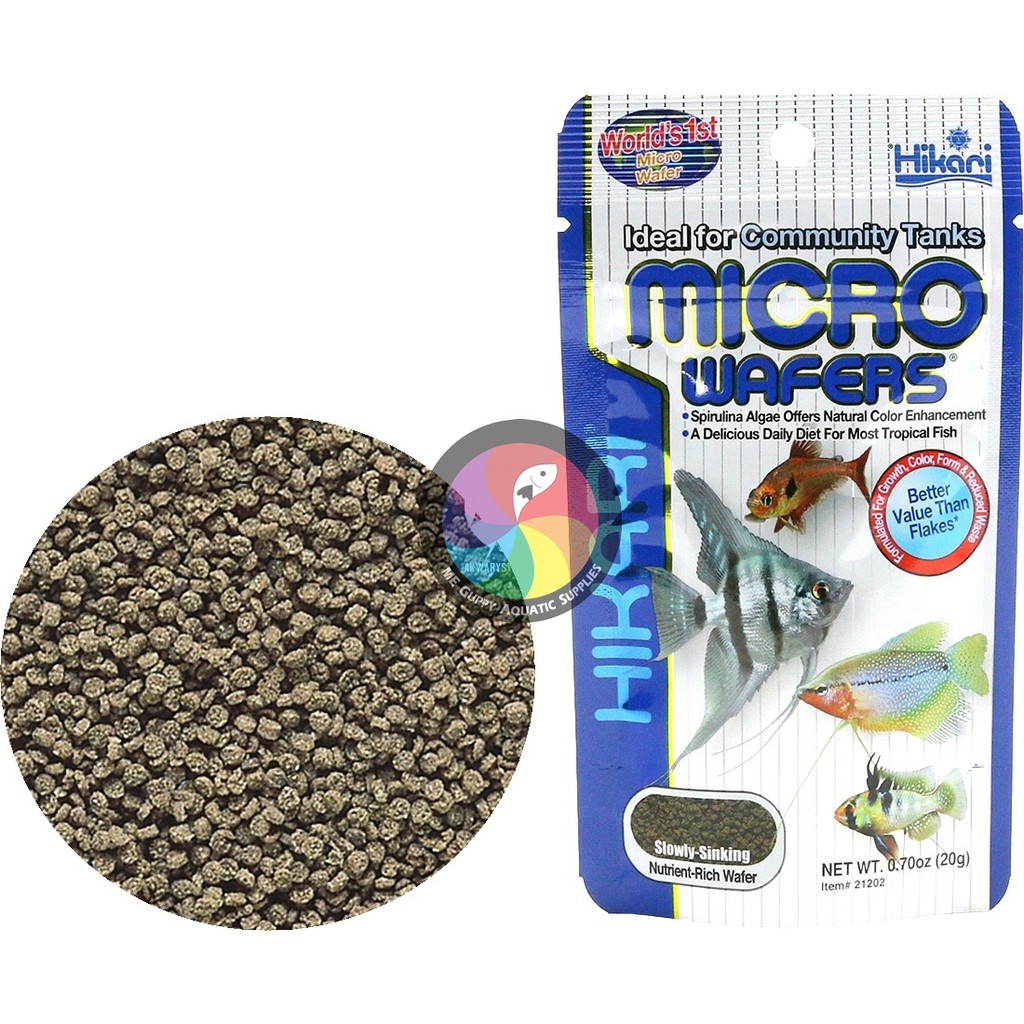 Micro wafers shop fish food