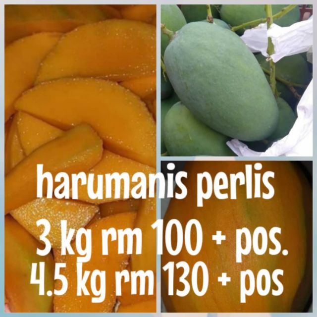 Harum Manis Original Perlis 3kg Shopee Malaysia 