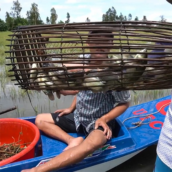 Selling Tilapia Salads And Effectively Guide The Tilapia Bait Shopee