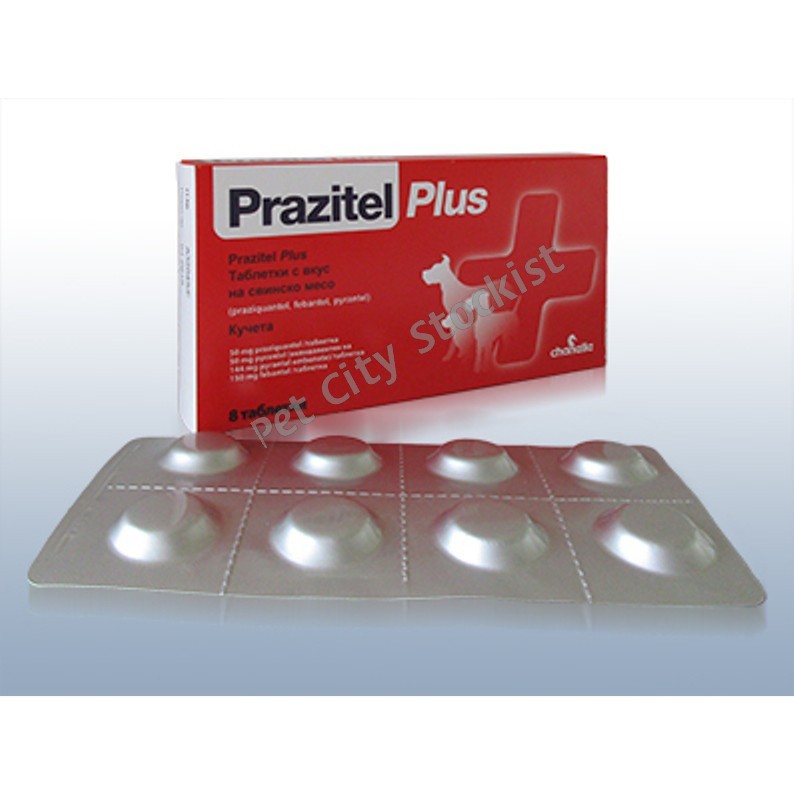 1 Tab Prazitel Plus Deworm Worming Tablets for Dogs and Puppies