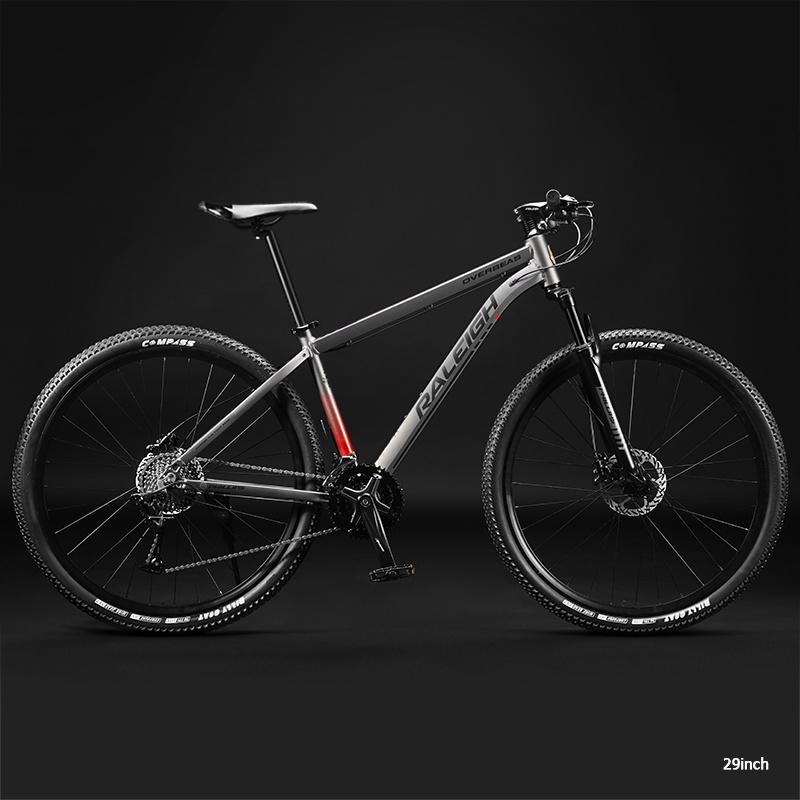 raleigh hardtail mtb