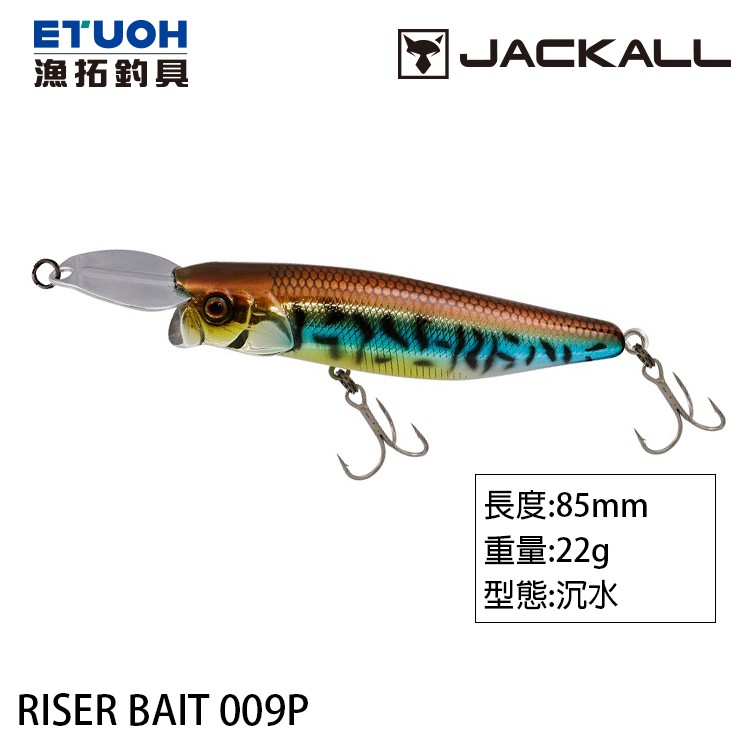 JACKALL RISER BAIT 009P Water Meter Hard [Yutuo Fishing Tackle]