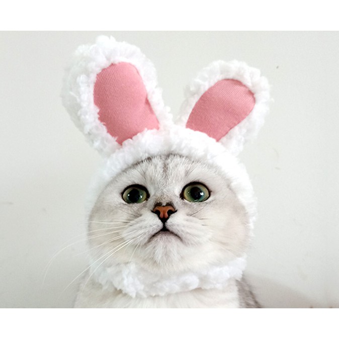 Pet Costume Hats,Plush Bunny Ears Pet Headband,Cute Bunny Rabbit