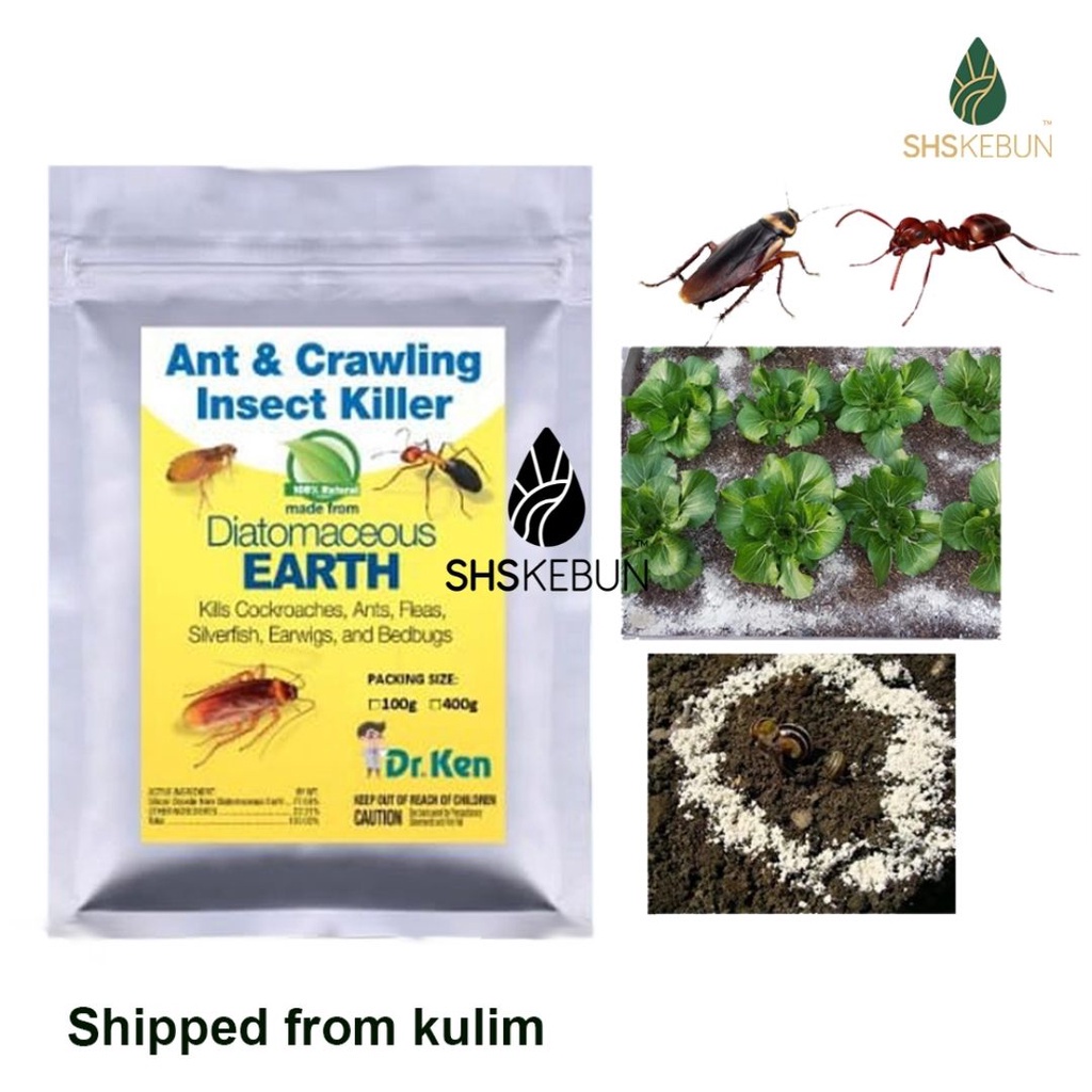 Dr Ken Diatomaceous Earth 100g Cockroaches Ants Fleas Silverfish Earwigs Bedbugs SHS Kebun