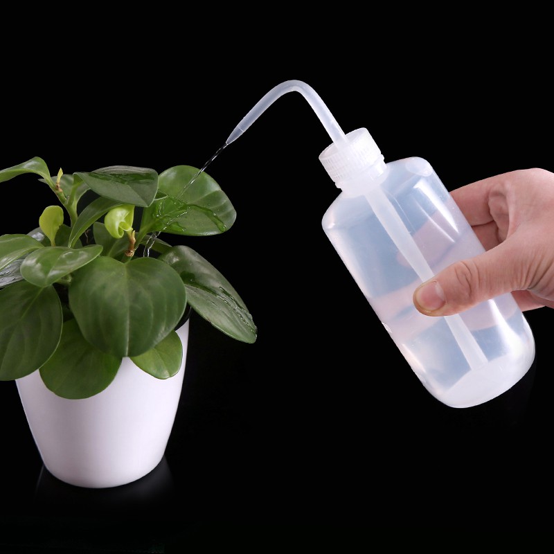 FITTONIA SUCCULENT BONSAI PLANTS SQUEEZE WATERING BOTTLE Shopee Malaysia