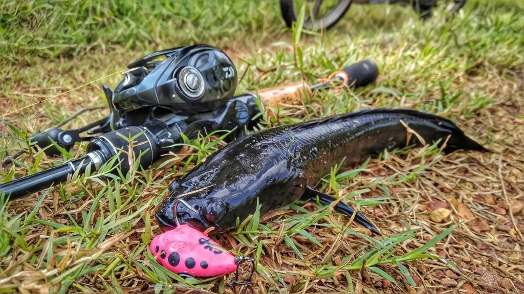 EXP RUGBY / RUGBY MINI FROG Soft Rubber Frog Expert For Snakehead ...