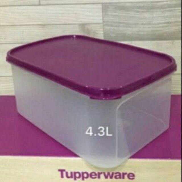 Tupperware TUPPERWARE Modular Mates MM RECTANGLE II 4.3