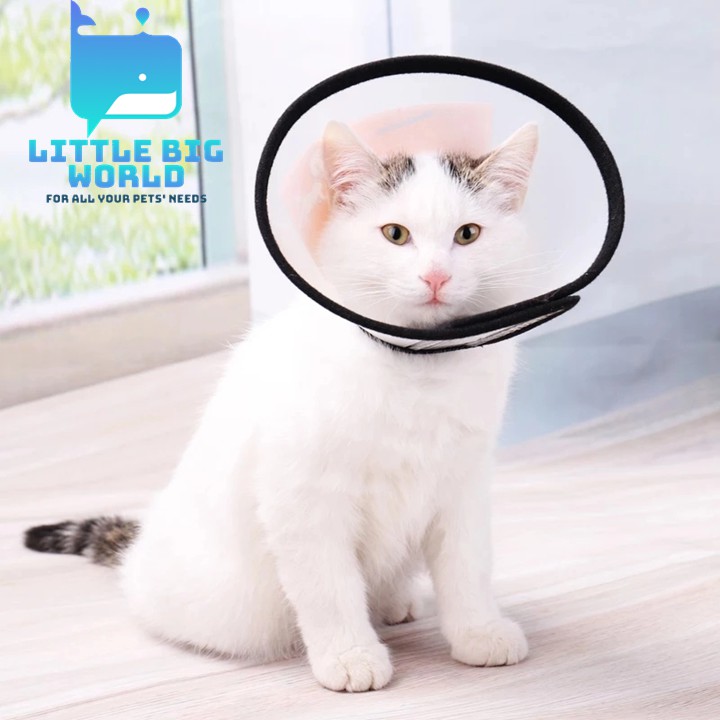 Cat neck hot sale cone