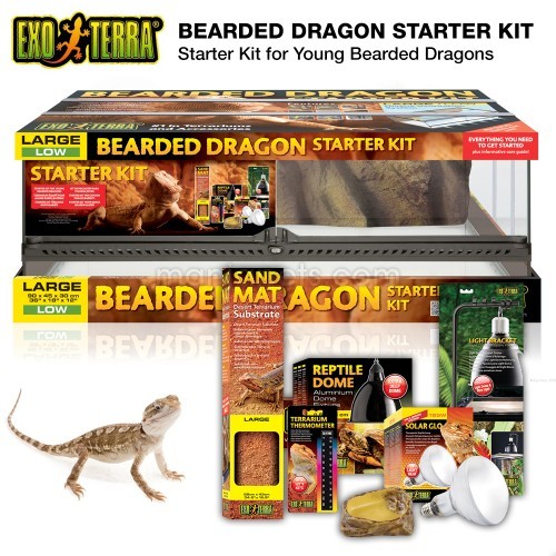 Exo Terra Bearded Dragon Starter Kit Shopee Malaysia