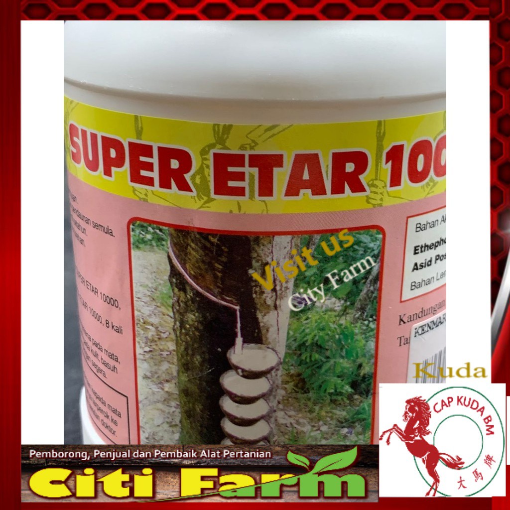 Super Etar 10000 Red White 108 Pokok Getah Rubber Tree Penggalak