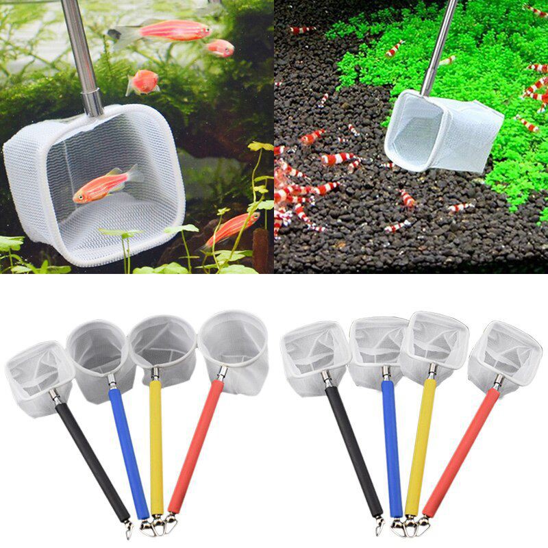 🔥ready Stock🔥premium Stainless Steel Mini Fish Scoop Round Scoop 