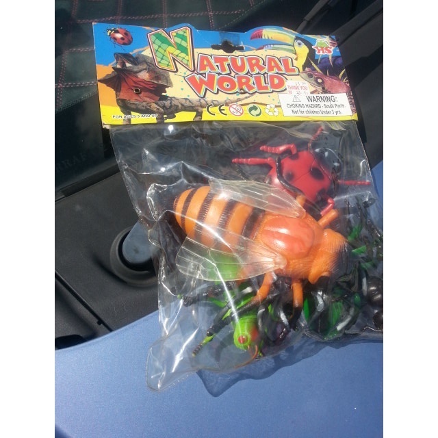 Mainan Kanak-kanak Children Toys Natural Animal World Serangga Insects ...
