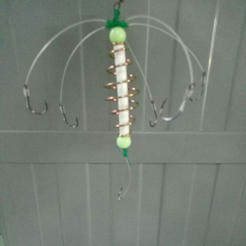 perambut bomb tapak sulaiman( rohu ) | Shopee Malaysia