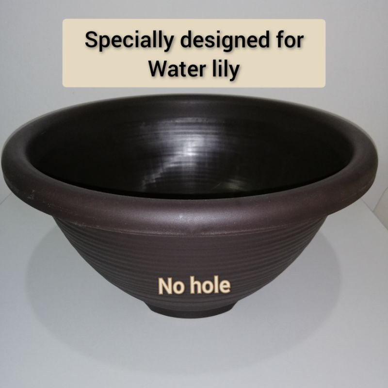 Water Lily Pot Without Hole/ Special Order Pot without hole/pasu tanpa