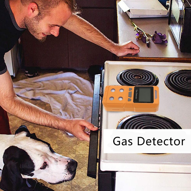 com* Combustible Gas Leak Detector Portable 4 in 1 Gas Detector ...