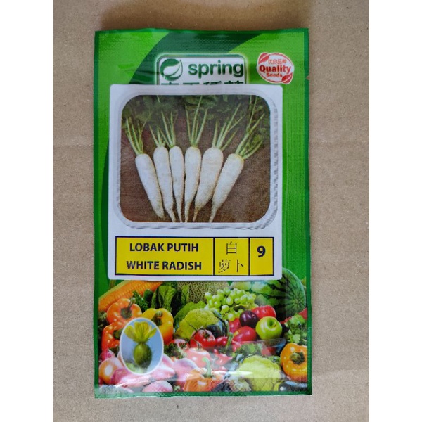 Quality Seeds Benih Lobak Putih White Radish 白萝卜 Shopee Malaysia