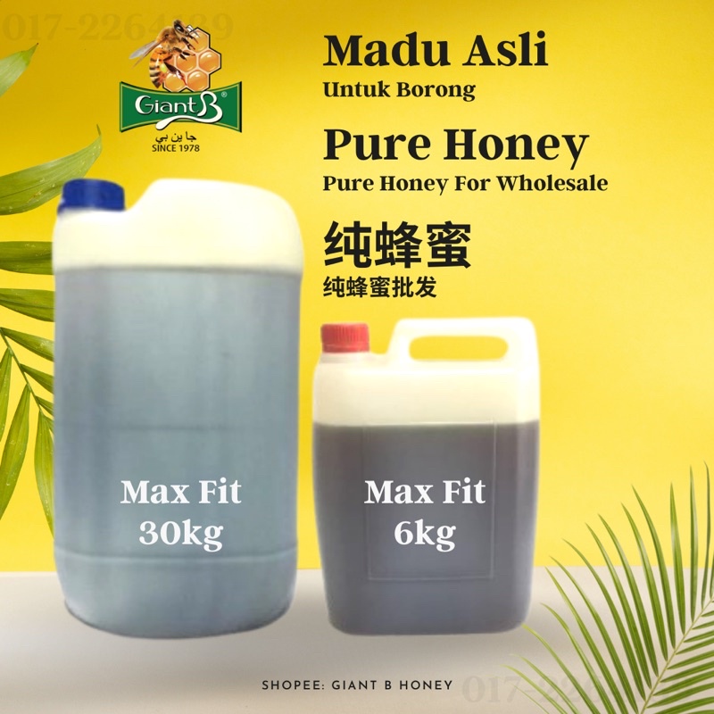Pure Honey Barrel/Drum Wholesale Madu Asli Borong Giant B Honey 纯蜂蜜批发装