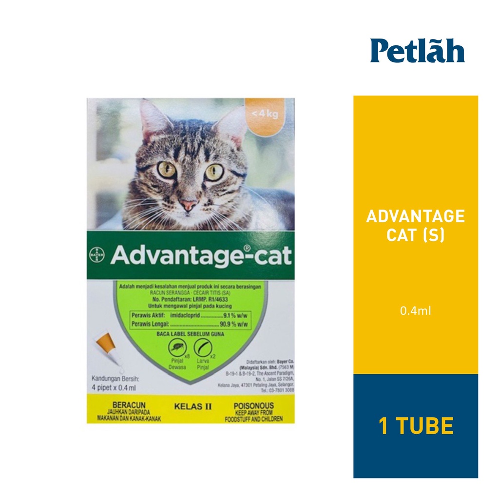 Advantage hotsell cat flea