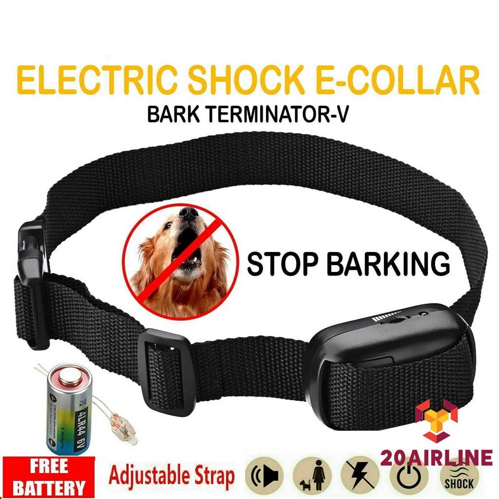 How to use an e collar to hotsell stop barking